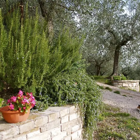 Bed & Breakfast Lavanda E Rosmarino 2*