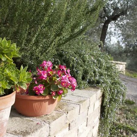 Lavanda E Rosmarino Bed & Breakfast