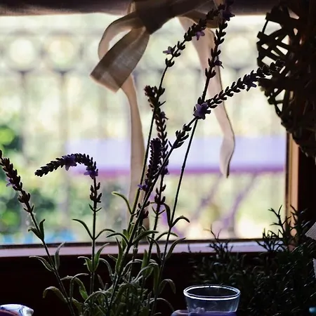 Bed & Breakfast Lavanda E Rosmarino